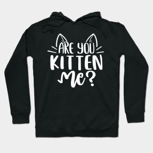 Are You Kitten Me ? Hoodie